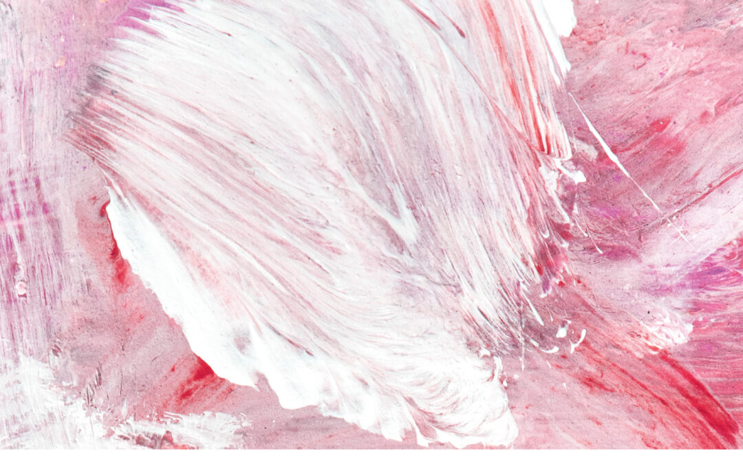 Boletín de Igualdad Número 5